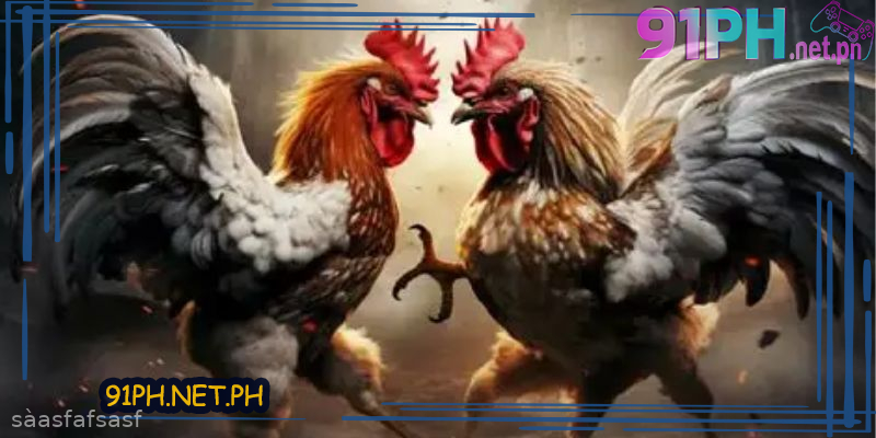 91PH-Sabong-Betting